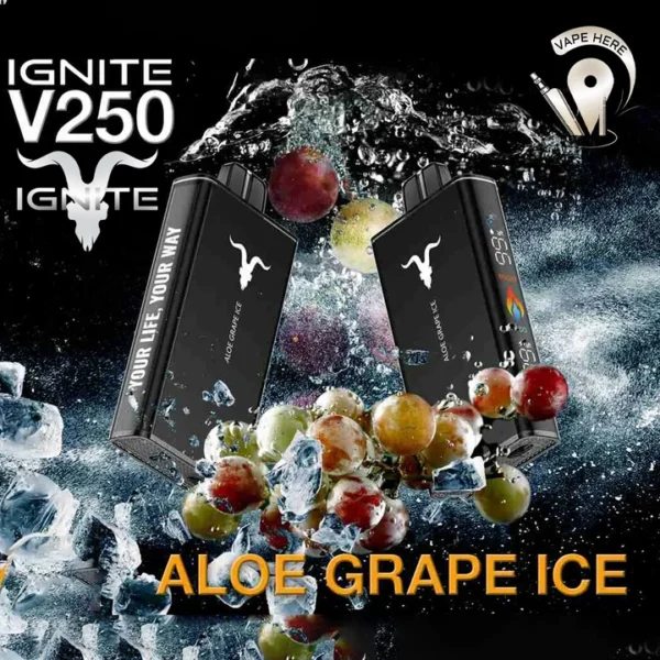 IGNITE V250 Disposable Vape 25K PUFFS