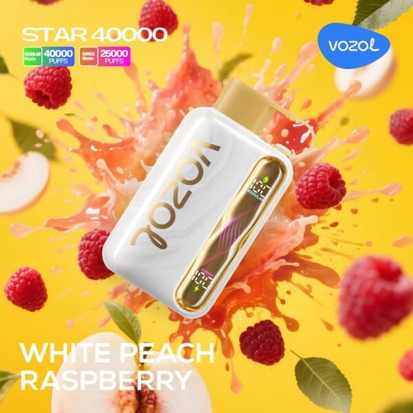 Vozol Star 40K Puffs 5%Nicotine Vape.