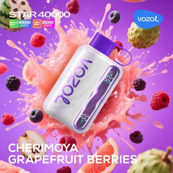 Vozol Star 40K Puffs 5%Nicotine Vape.
