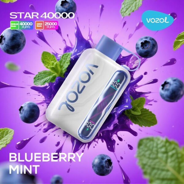 Vozol Star 40K Puffs 5%Nicotine Vape.