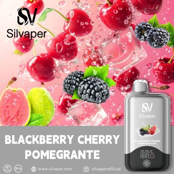 Silvaper 15K Puffs,(2%Nicotine)(Without Chargeable)Disposable Vape.