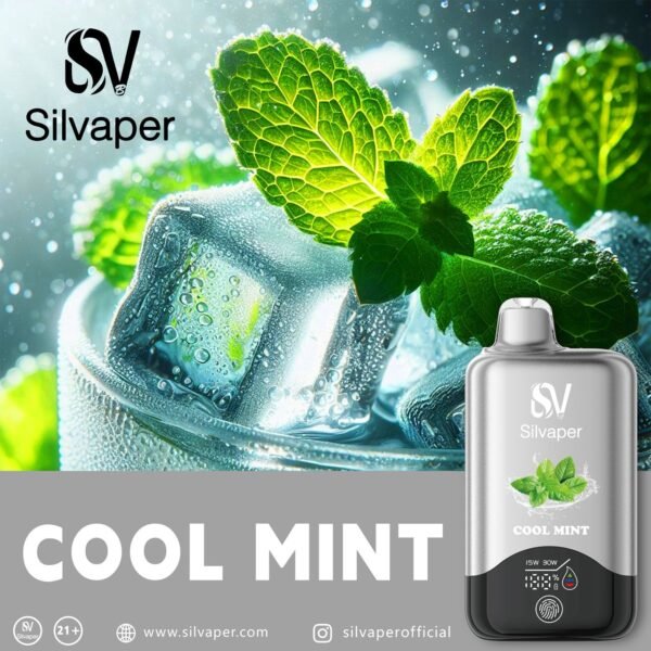 Silvaper 15K Puffs,(2%Nicotine)(Without Chargeable)Disposable Vape.