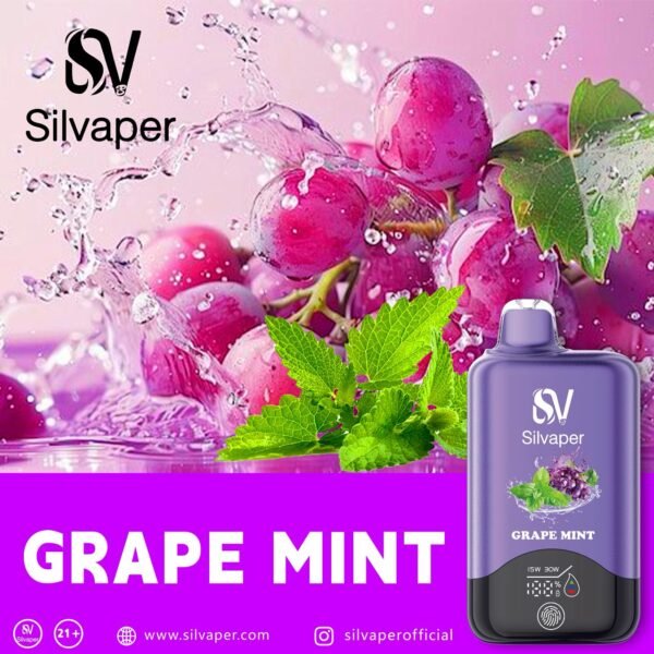 Silvaper 15K Puffs,(2%Nicotine)(Without Chargeable)Disposable Vape.