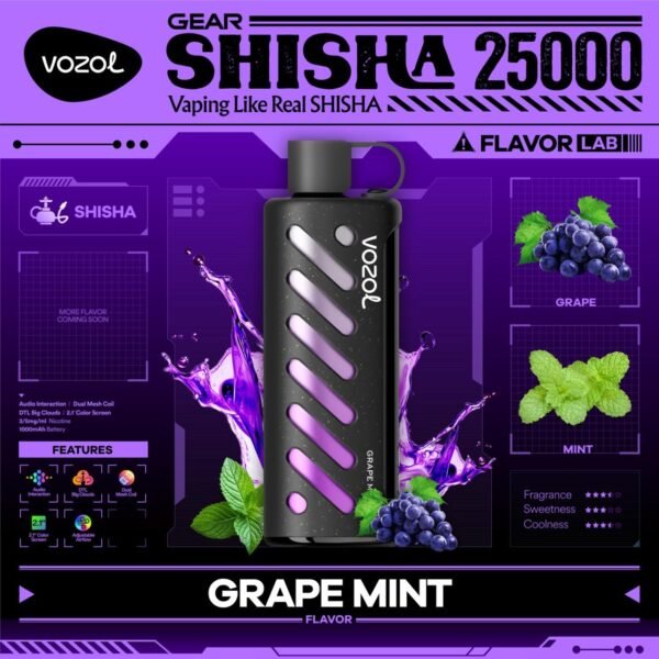 VOZOL GEAR SHISHA DTL 25K PUFFS, 5%NICOTINE, DISPOSABLE VAPE