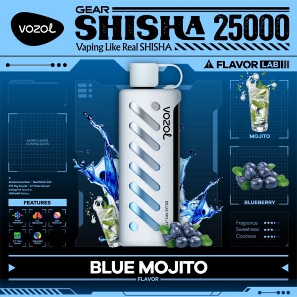 VOZOL GEAR SHISHA DTL 25K PUFFS, 5%NICOTINE, DISPOSABLE VAPE