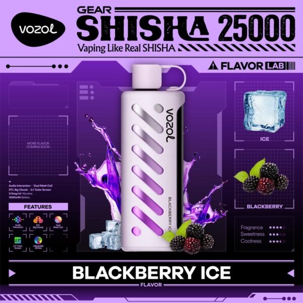VOZOL GEAR SHISHA DTL 25K PUFFS, 5%NICOTINE, DISPOSABLE VAPE