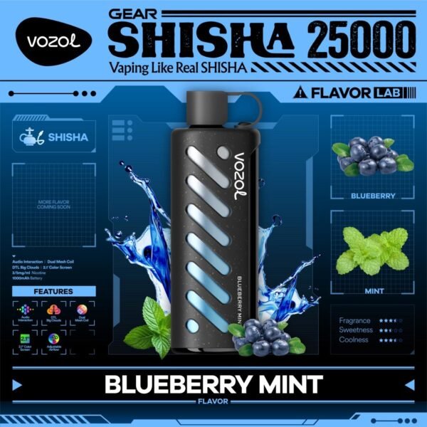OZOL GEAR SHISHA DTL 25K PUFFS, 5%NICOTINE, DISPOSABLE VAPE